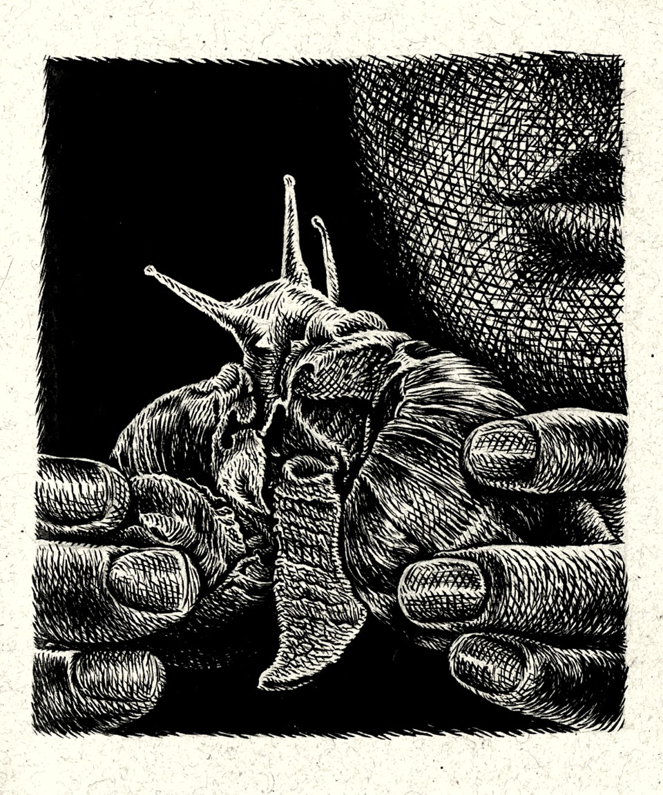 © blanquet courtesy arts factory © blanquet courtesy arts factory